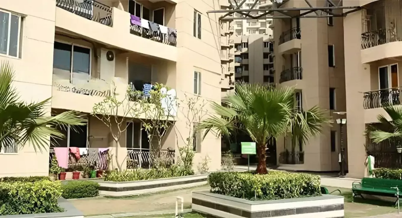 Sikka Karmic Greens