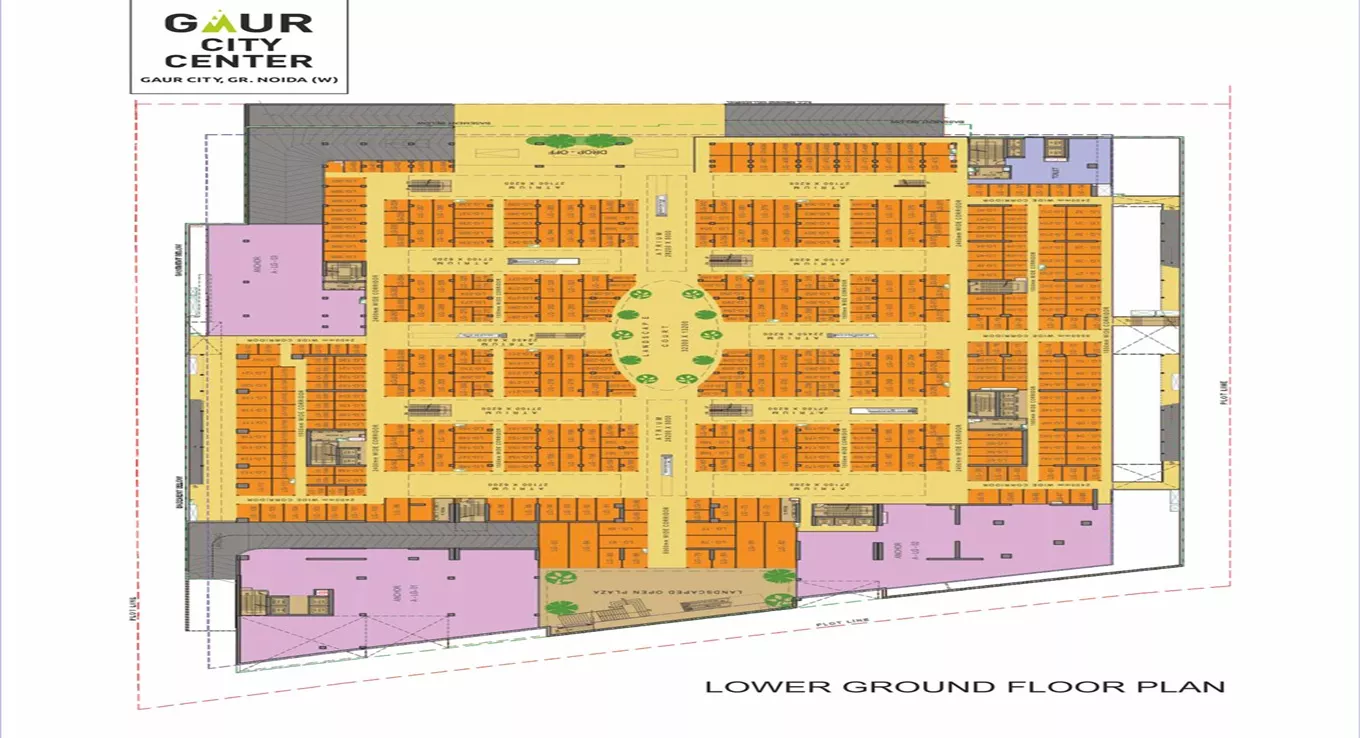 Lower Ground Floor